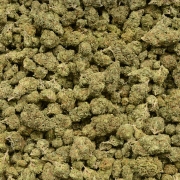 Journey For Truth – Marijuana