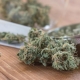 Medical Use of Marijuana Doesn’t Increase Youths’ Use, Study Finds
