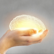 The Promise And Perils Of The Teenage Brain